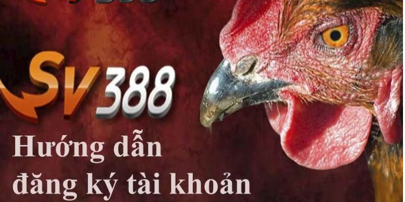 Cách đăng ký tài khoản SV388